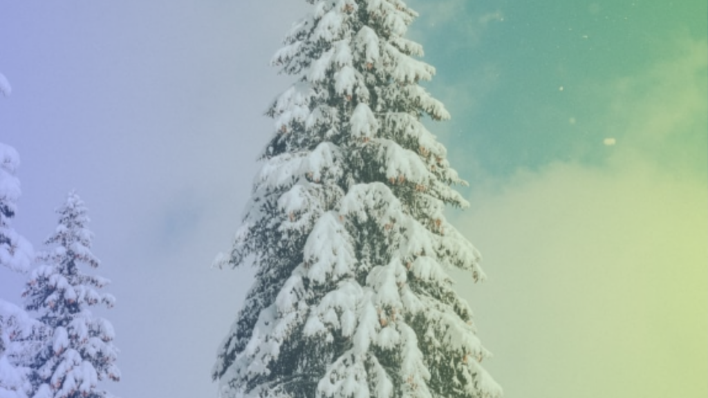 Método bola de nieve vs avalancha: cuál elegir para pagar tus deudas